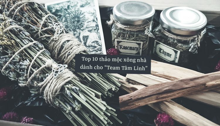 Top 10 Thảo Mộc Xông Nhà Dành Cho “Team Tâm Linh”