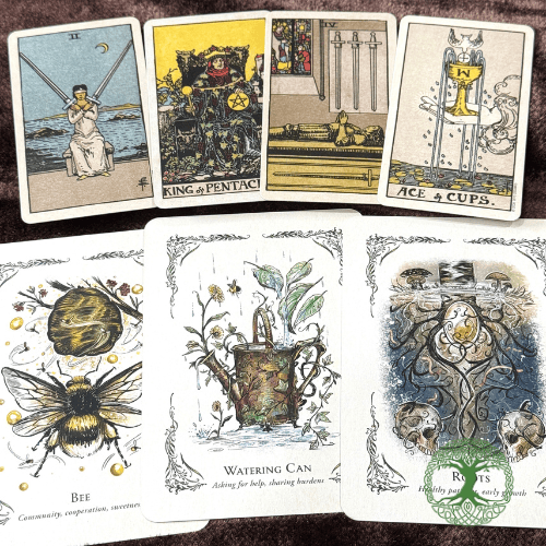 Tarot - Oracle - Giống Và Khác Như Thế Nào? 3 Ảnh: Nguyễn Hiếu