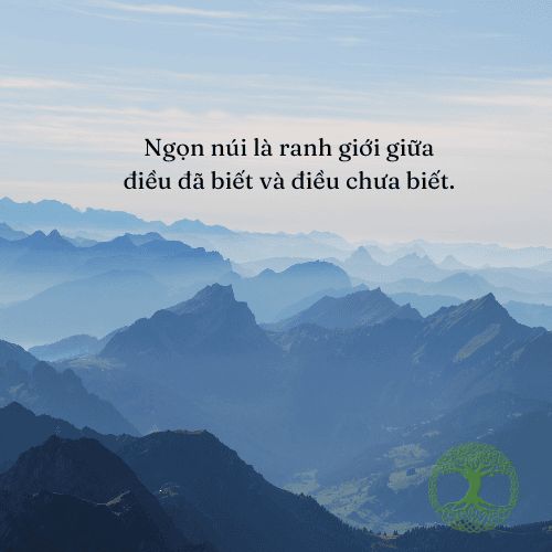 Ảnh sưu tầm