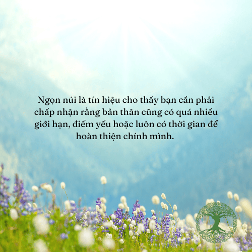 Ảnh sưu tầm