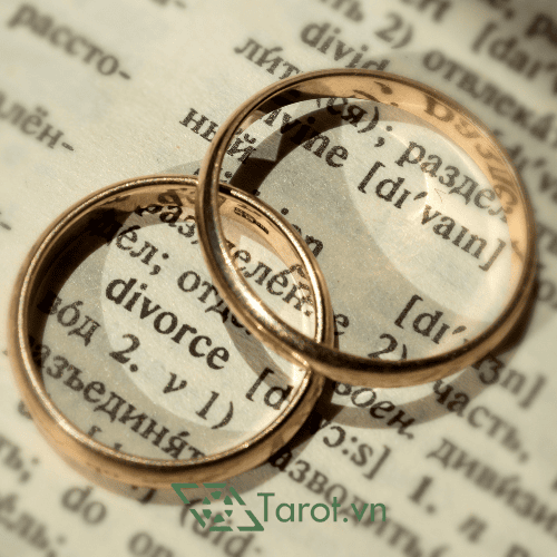 4D Rules - Quy Tắc Tarot Reader Cần Phải Ghi Nhớ 5 4D Rules - Quy Tắc Tarot Reader Cần Phải Ghi Nhớ 5