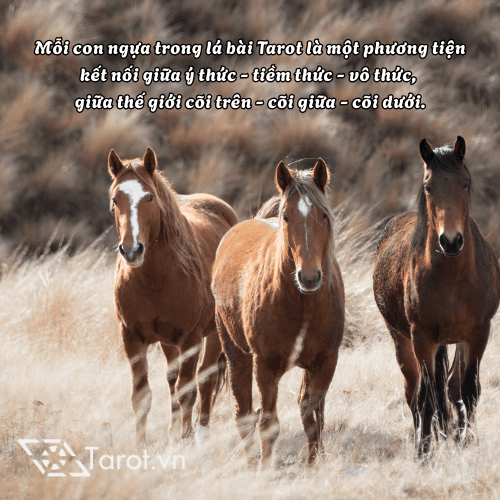 Ngôn Ngữ Bí Mật Của Tarot - Biểu Tượng Con Ngựa/Người Cưỡi Ngựa 1