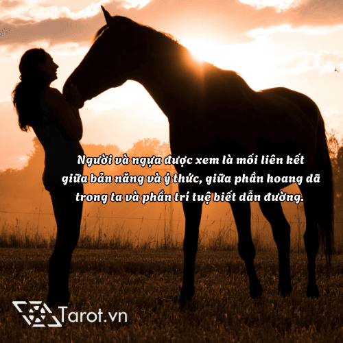 Ngôn Ngữ Bí Mật Của Tarot - Biểu Tượng Con Ngựa/Người Cưỡi Ngựa 2