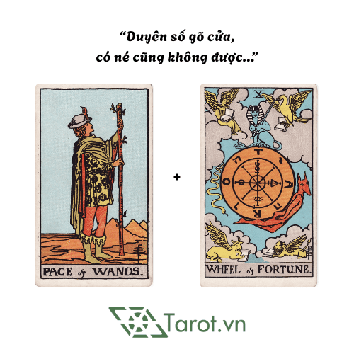 Những Tổ Hợp Lá Bài Tarot Biểu Thị Cho Một Tình Yêu Mới Sắp Đến 7