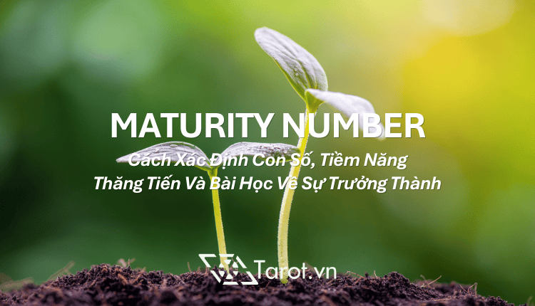 Maturity Number: Cách Xác Định Con Số, Tiềm Năng Thăng Tiến Và Bài Học Về Sự Trưởng Thành 1 Maturity Number: Cách Xác Định Con Số, Tiềm Năng Thăng Tiến Và Bài Học Về Sự Trưởng Thành 1